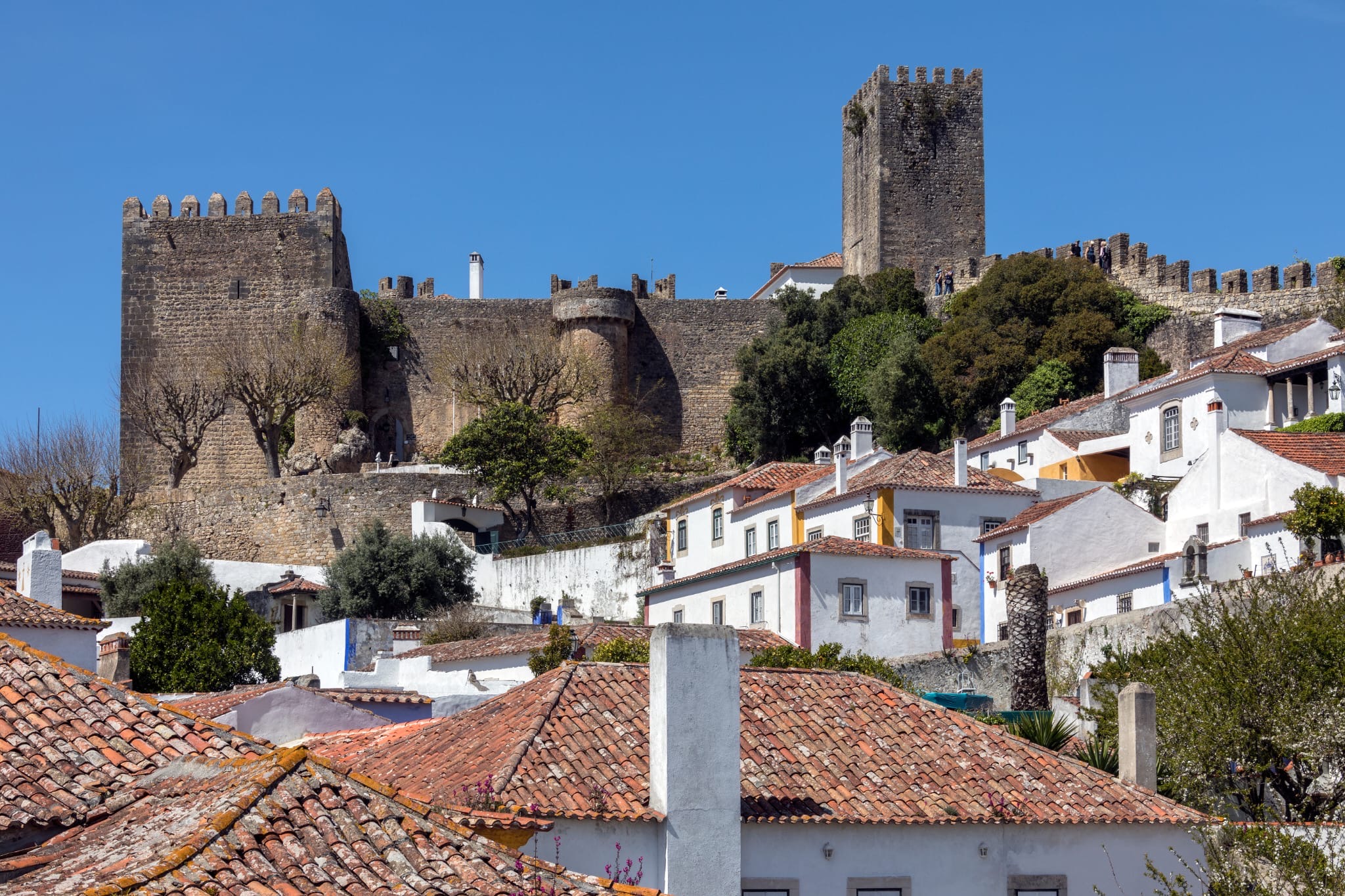 Fátima + Nazaré + Óbidos - Full day PRIVATE tour 8h (Day trip from Lisbon)