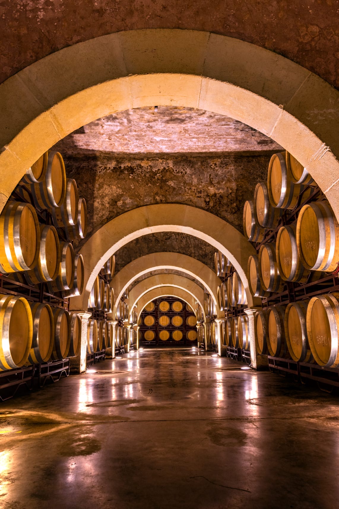 Porto full day experience