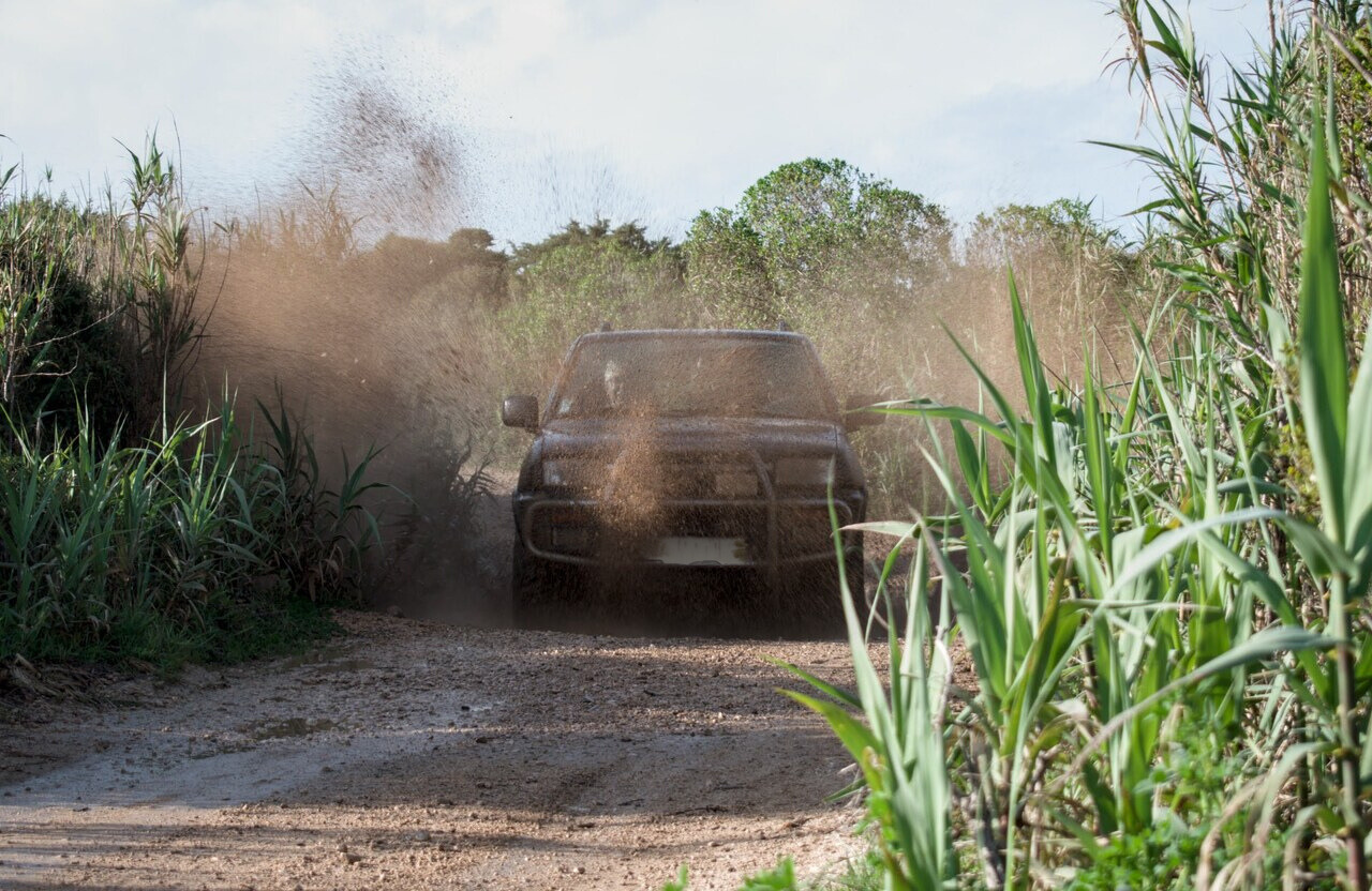 Sintra Full day Experience + off road by the coast - Private Tour