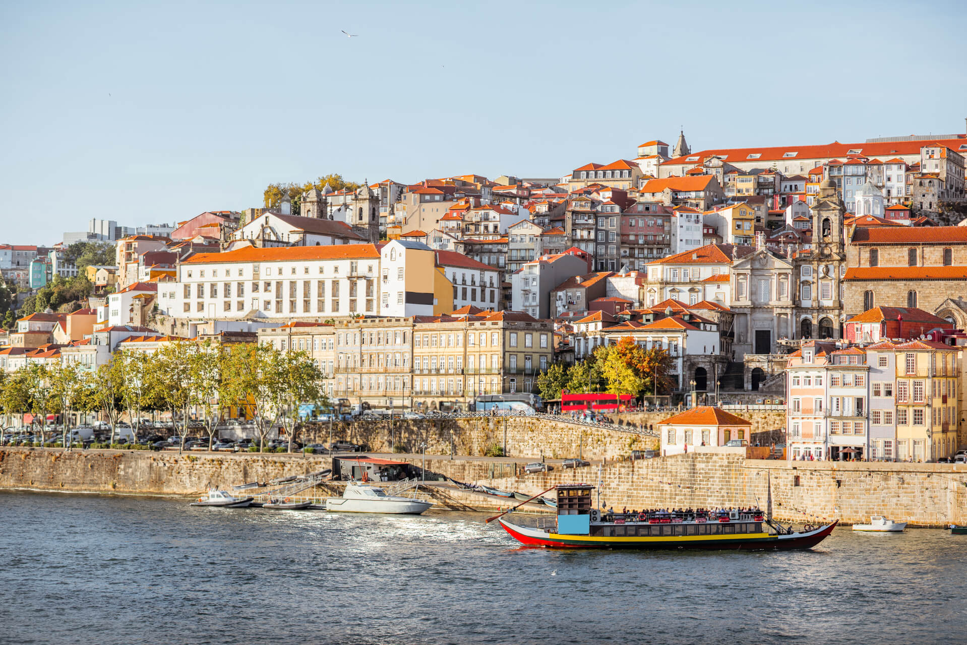 Porto full day experience