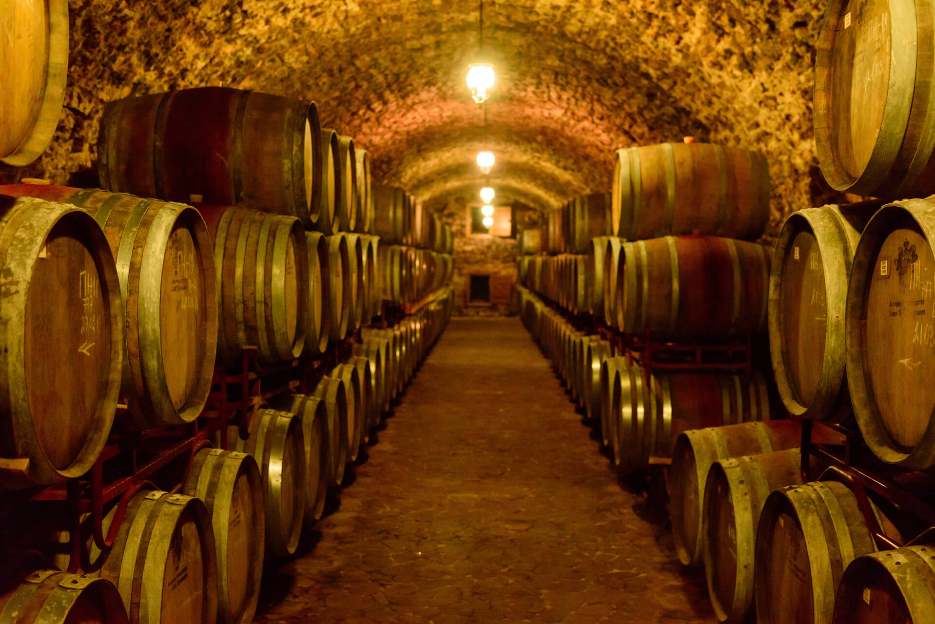 Porto full day experience